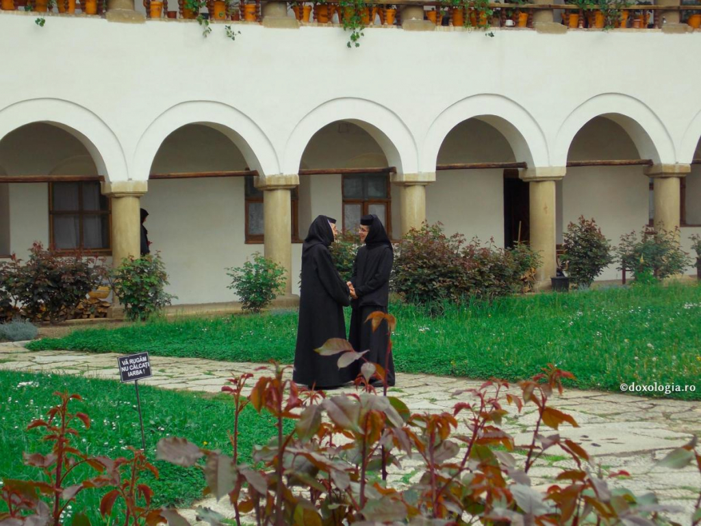 Foto: Cătălin Acasandrei