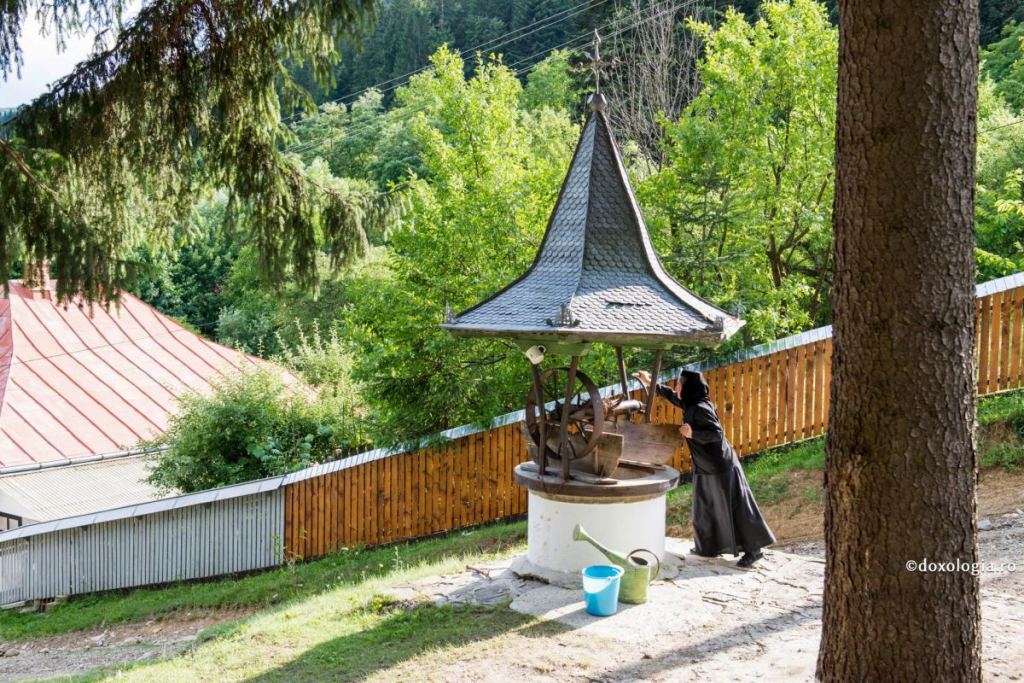 Foto: Ștefan Cojocariu