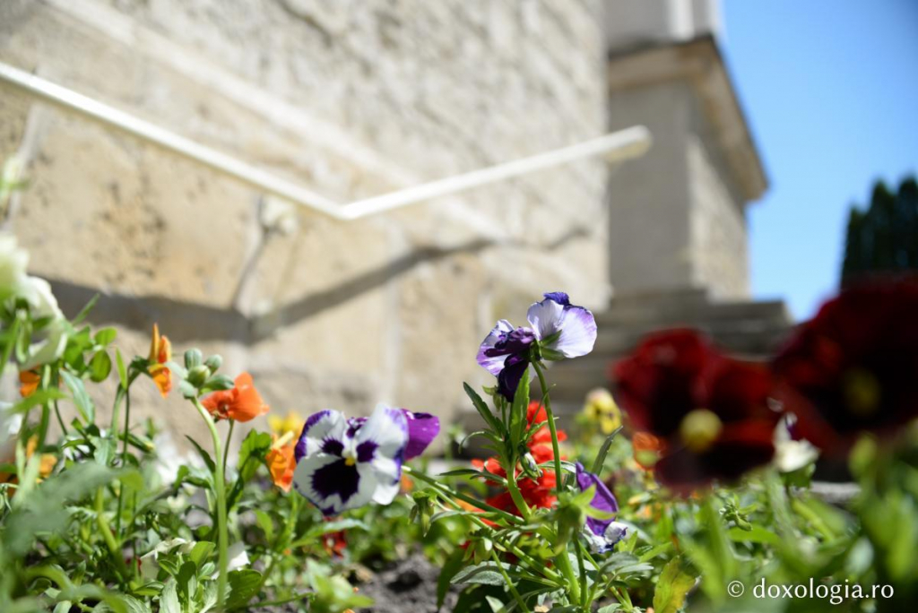 Foto: Ștefan Cojocariu