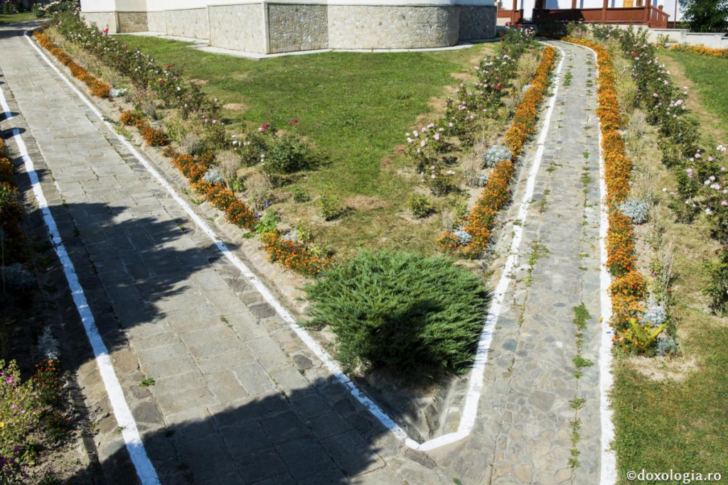 Fariseul și vameșul – calea mândriei și calea smereniei / Foto: Oana Nechifor