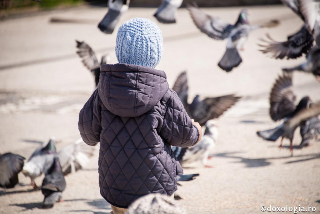 Fii cu dragoste și fă pace acum, când poți! / Foto: Oana Nechifor