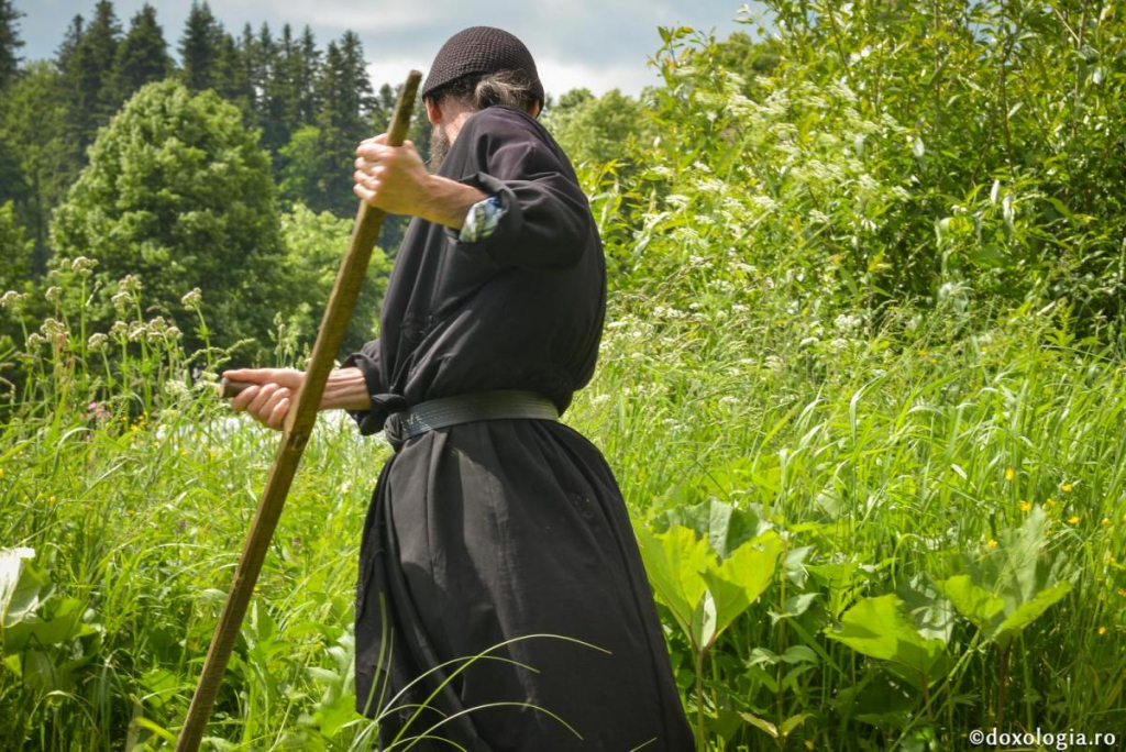 Ascultarea – ușă a dragostei către Dumnezeu / Foto: Oana Nechifor