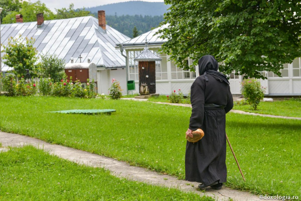Postim ca să ne amintim de Cerul pe care îl purtăm în noi / Foto: Oana Nechifor