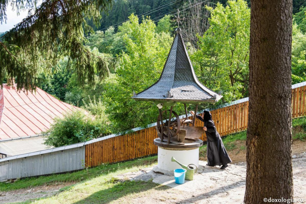Maria întotdeauna are nevoie de Marta, dar Marta muncește zadarnic fără Maria / Foto: Ștefan Cojocariu