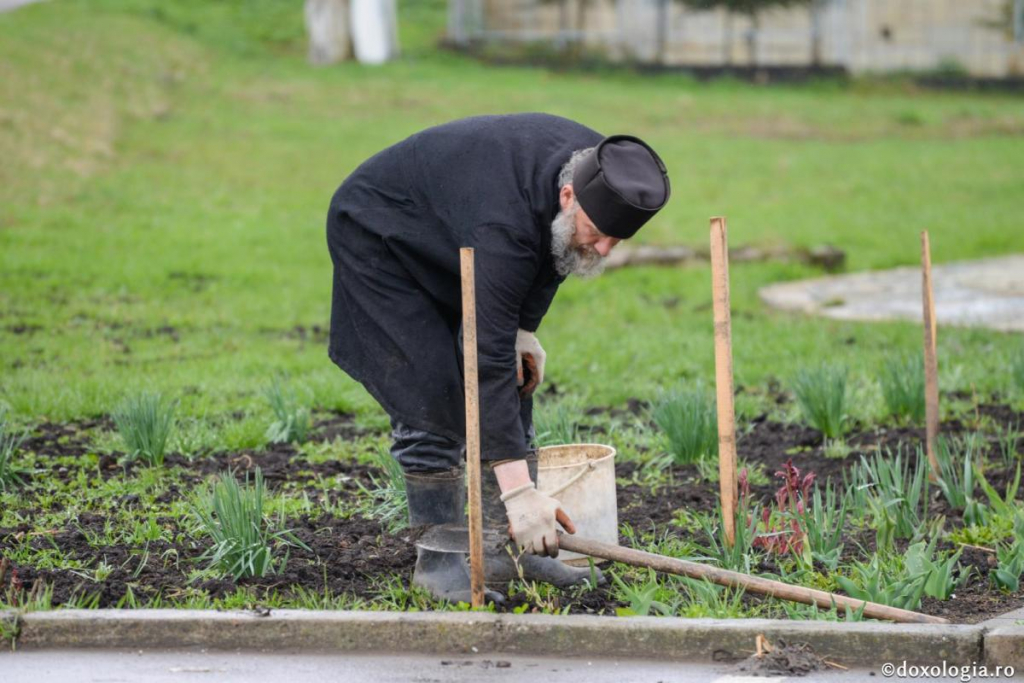 Ceea ce facem, nu pentru slavă sau pentru „mulțumesc” are preț / Foto: Ștefan Cojocariu